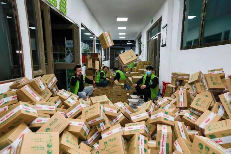 商品再交给陇小南农业进行深加工陇小南合作社将农产品建立种植,收购